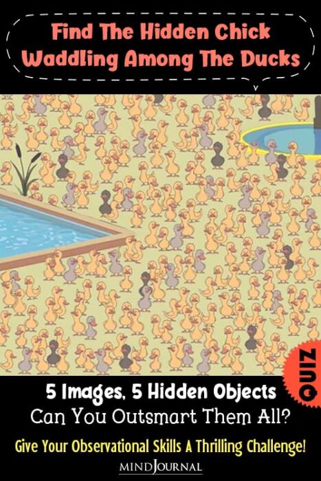 find the hidden objects