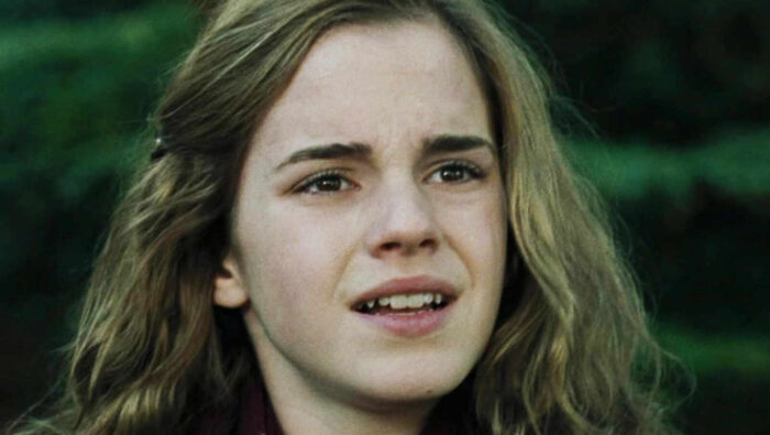 Hermione Granger resonate the traits of a Virgo who is one of the most sensitive zodiac signs