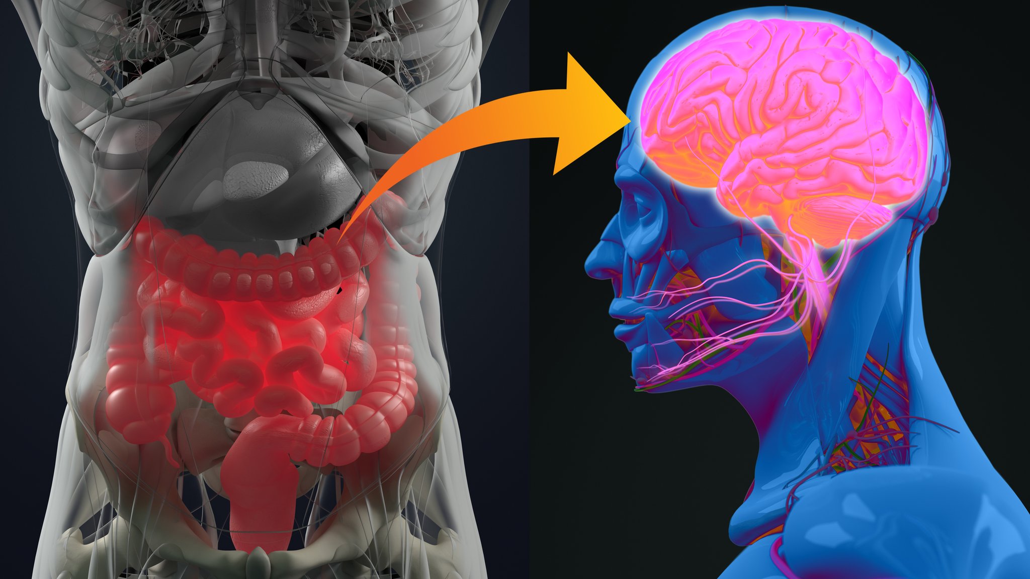 Gut Health and Parkinson’s Disease: A Surprising Connection Unveiled