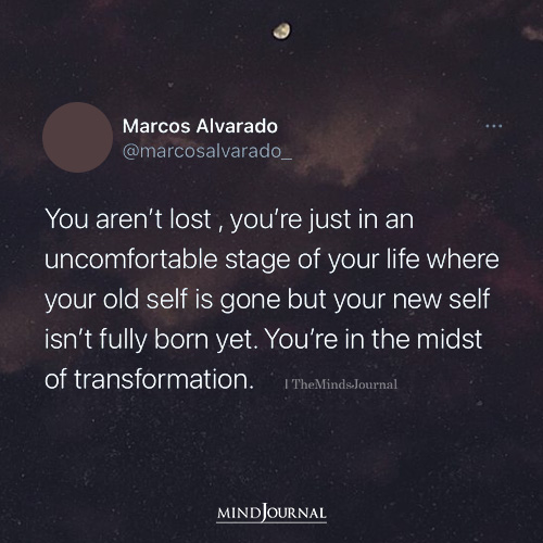 You Aren't Lost, You're Just In An Uncomfortable Stage