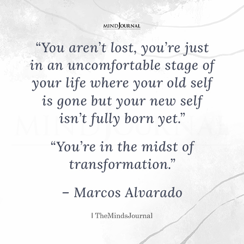 You Aren’t Lost, You’re Just In An Uncomfortable Stage - Marcos Alvarado Quotes