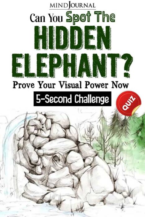 hidden elephant picture
