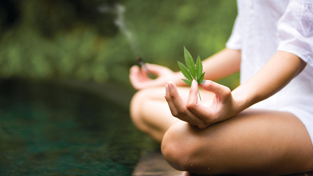 Cannabis Enhances Meditation