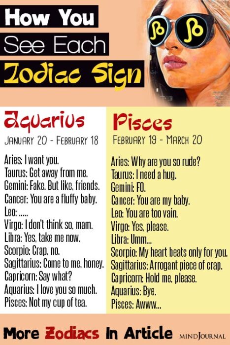 how aries sees the signs
