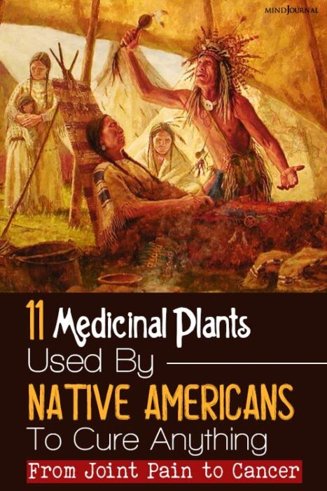 plants used by Native Americans
