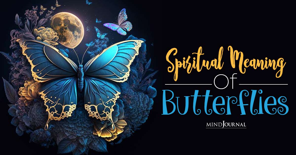 Spiritual Meaning Of Butterflies: Four Deep Significances