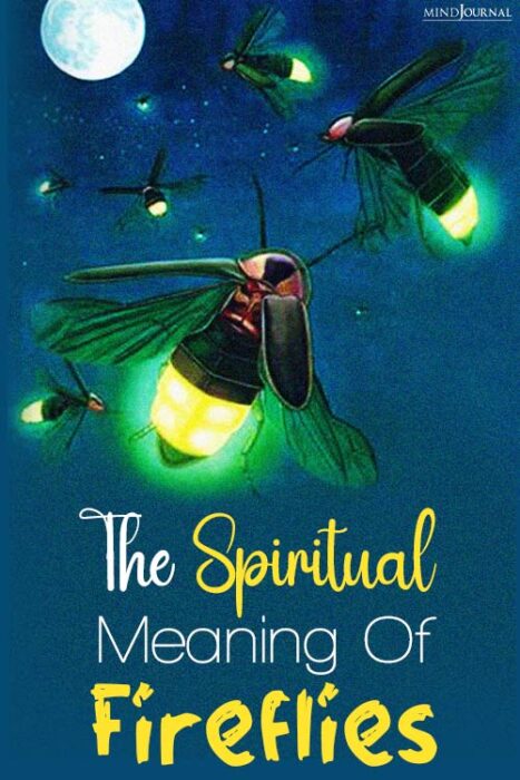spiritual meaning of a firefly in the house

