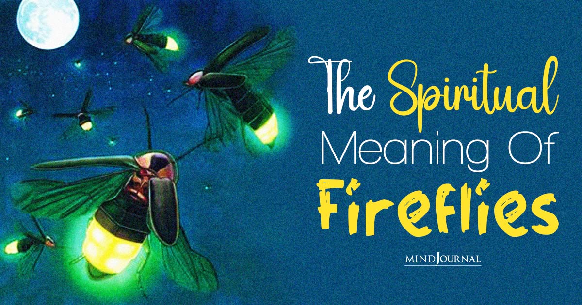 The Spiritual Meaning Of Fireflies: Why Do We Feel So Connected With Them