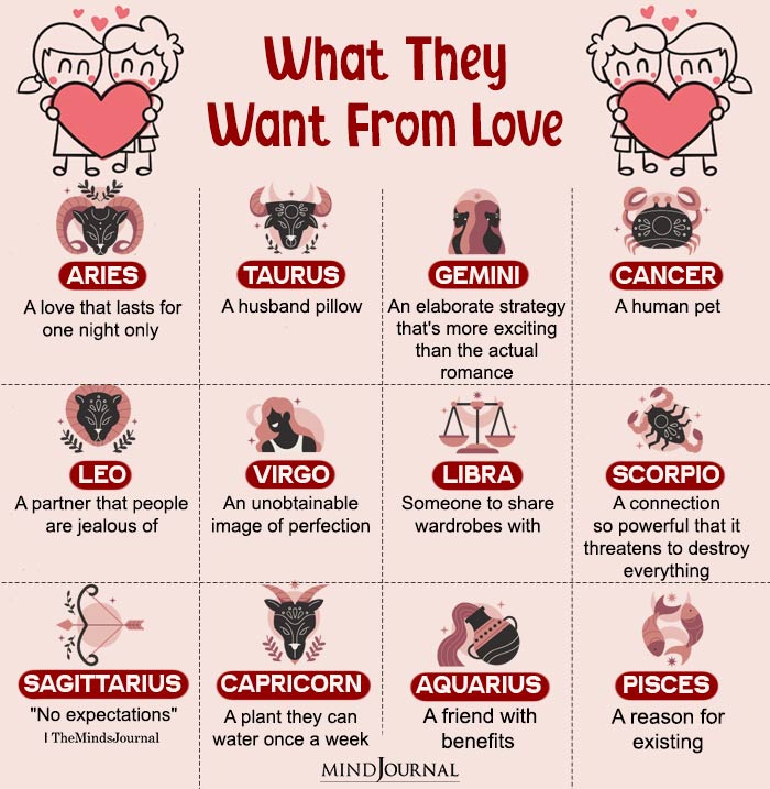 What The Zodiac Signs Want From Love
