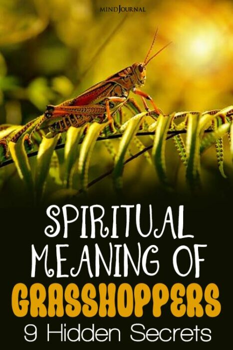 spiritual meaning of a grasshopper in your path
