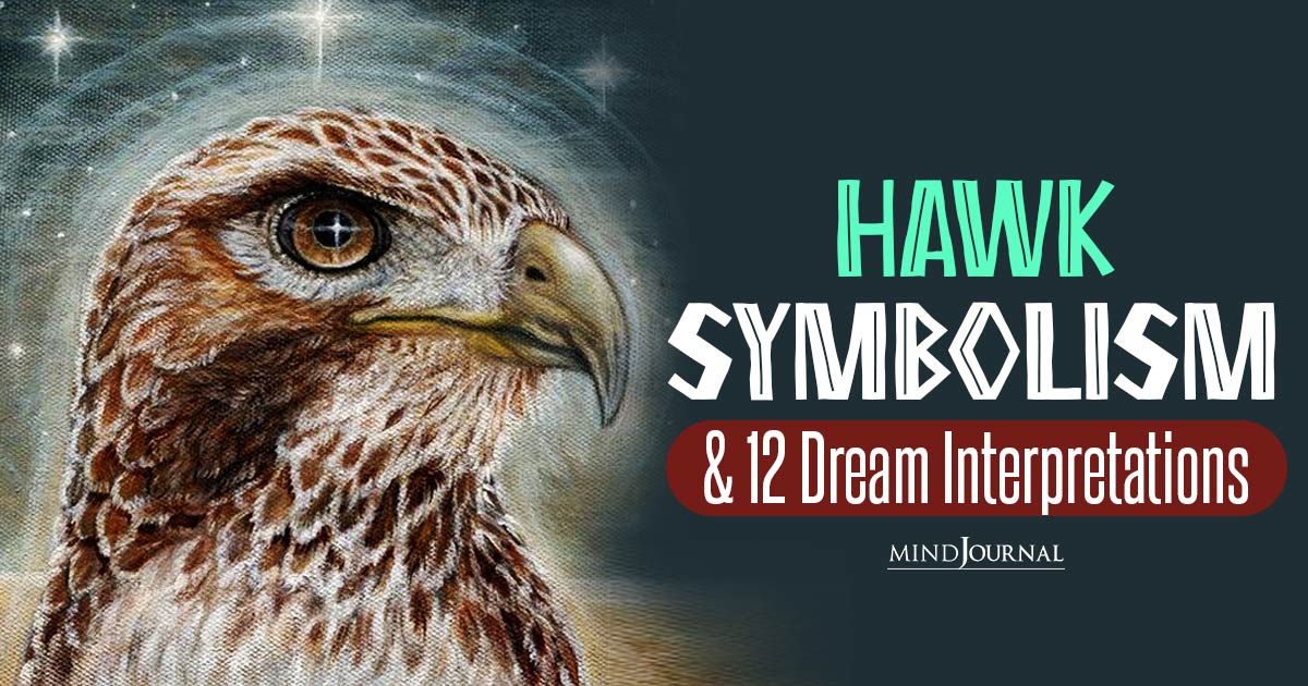 Spiritual Meaning Of Hawks: 12 Deep Dream Interpretations