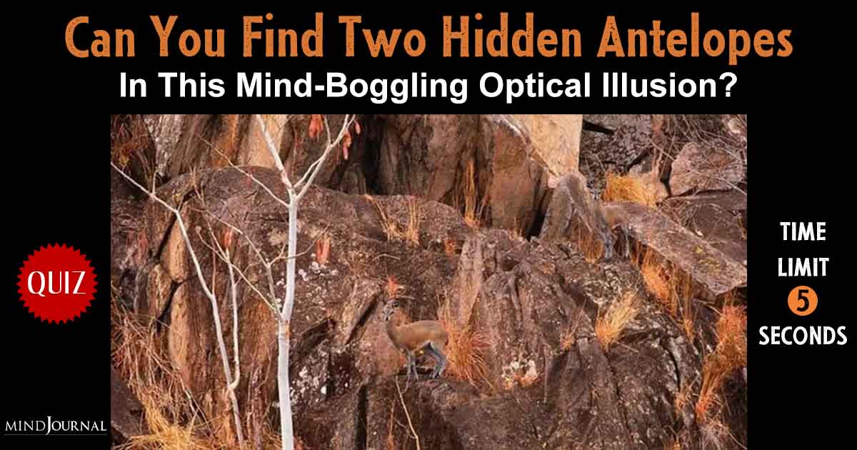 Test Your Brain Power: Can You Find Two Hidden Antelopes In This Mind-Boggling Optical Illusion? (Time Limit – 5 Seconds)