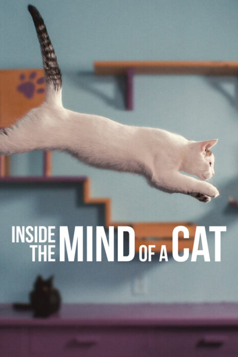 Cat movies on Netflix

