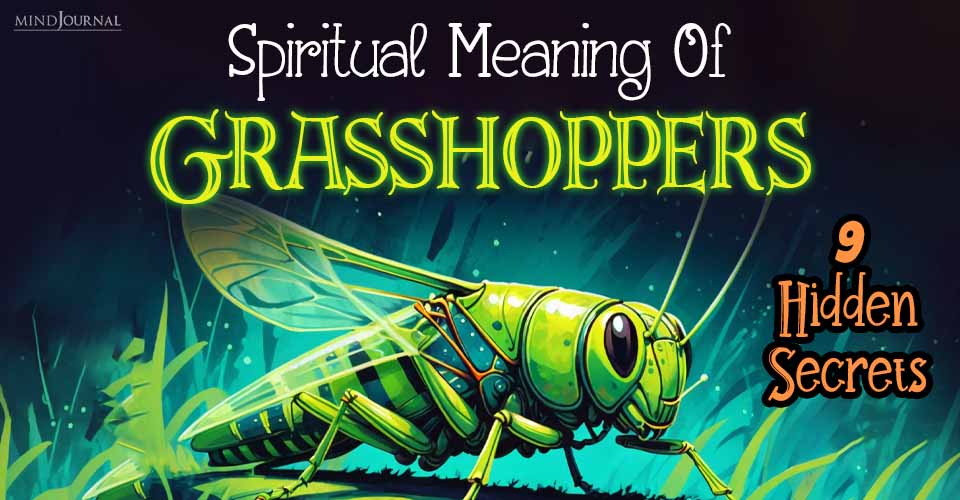 Spiritual Meaning Of Grasshoppers: 9 Hidden Secrets Of Nature