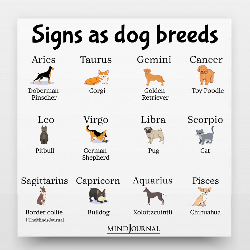 Zodiac Signs As Dog Breeds 