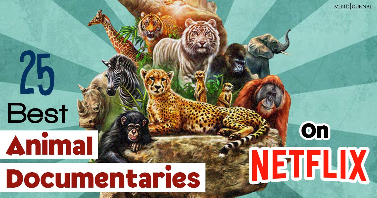 Wildlife Chronicles: 25 Best Animal Documentaries On Netflix That You Must Watch