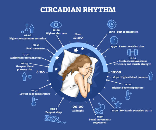 Disrupted Circadian Rhythm