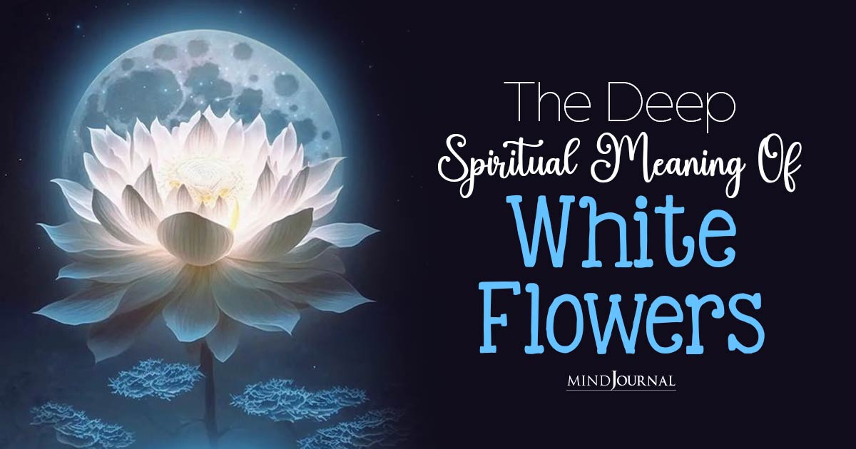 The Deep Spiritual Meaning Of White Flowers: 10 Exquisite Blossoms of Purity
