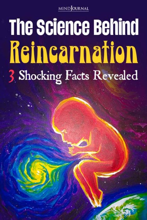 what is reincarnation
