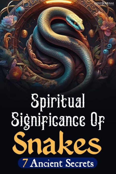snake spirit animal meaning 4
