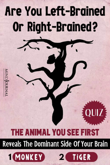 which animal do you see first