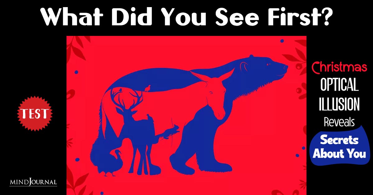 What Did You See First? This Christmas Optical Illusion Test Reveals A Lot About You