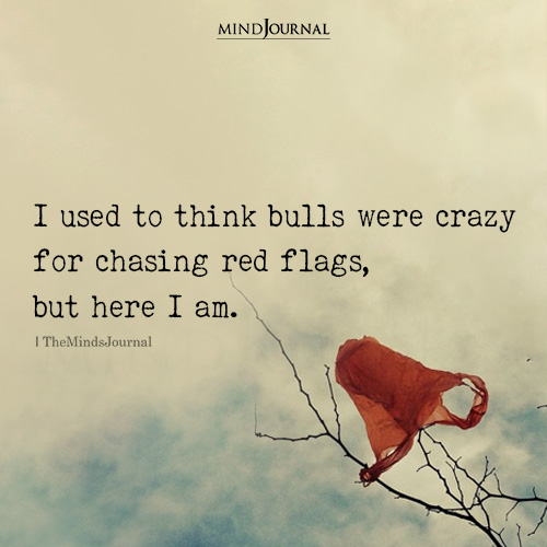 I Used To Think Bulls Were Crazy For Chasing Red Flags