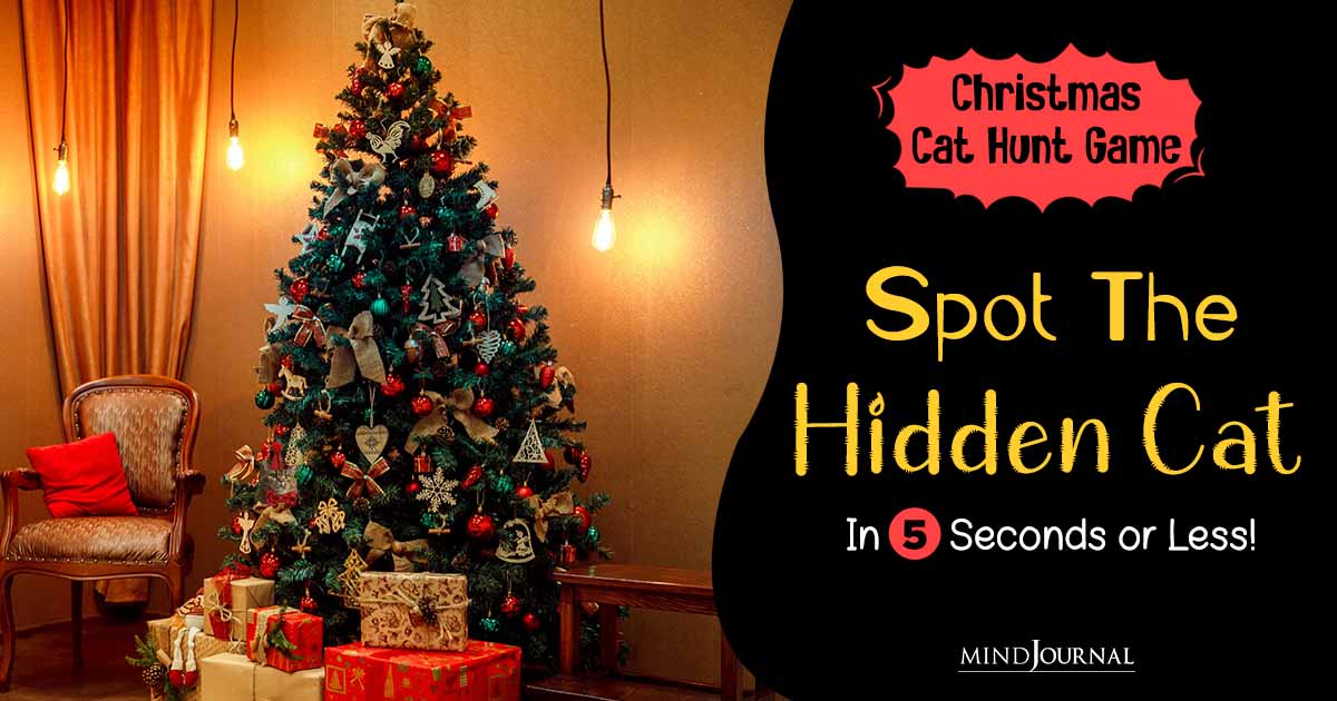 Holiday Hide-and-Seek: Can You Spot the Hidden Cat In Just 5 Seconds? Christmas Decoration Optical Illusion