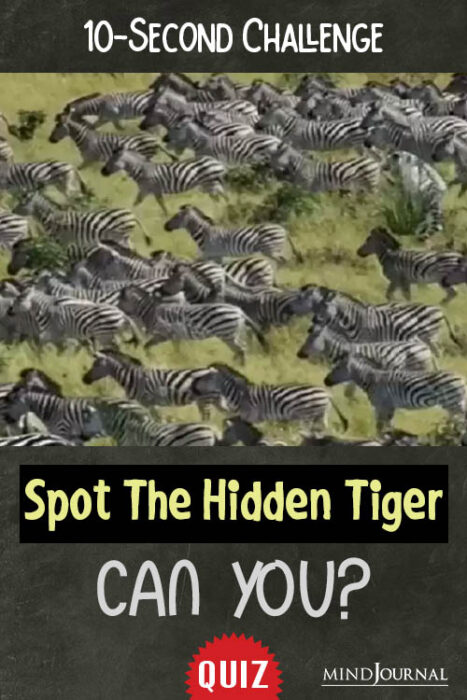 can you spot the hidden tiger
