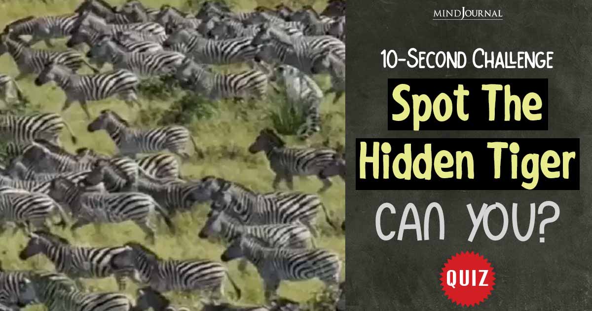 Spot the Tiger Hidden Among Running Zebras: 10 Seconds Visual Challenge
