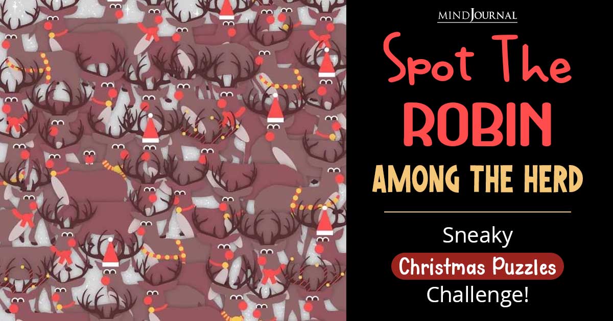 Can You Spot The Robin? Secs Christmas Puzzles Challenge