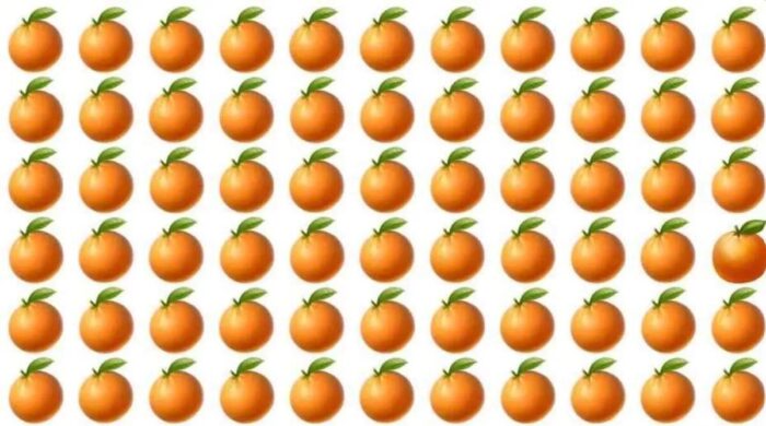 Orange Optical Illusion