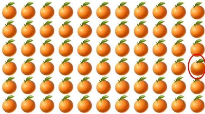 Orange Optical Illusion