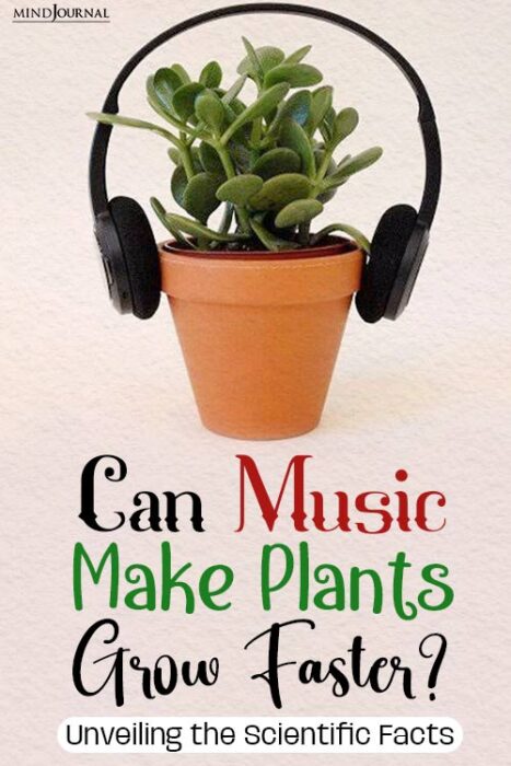 music helps plants grow