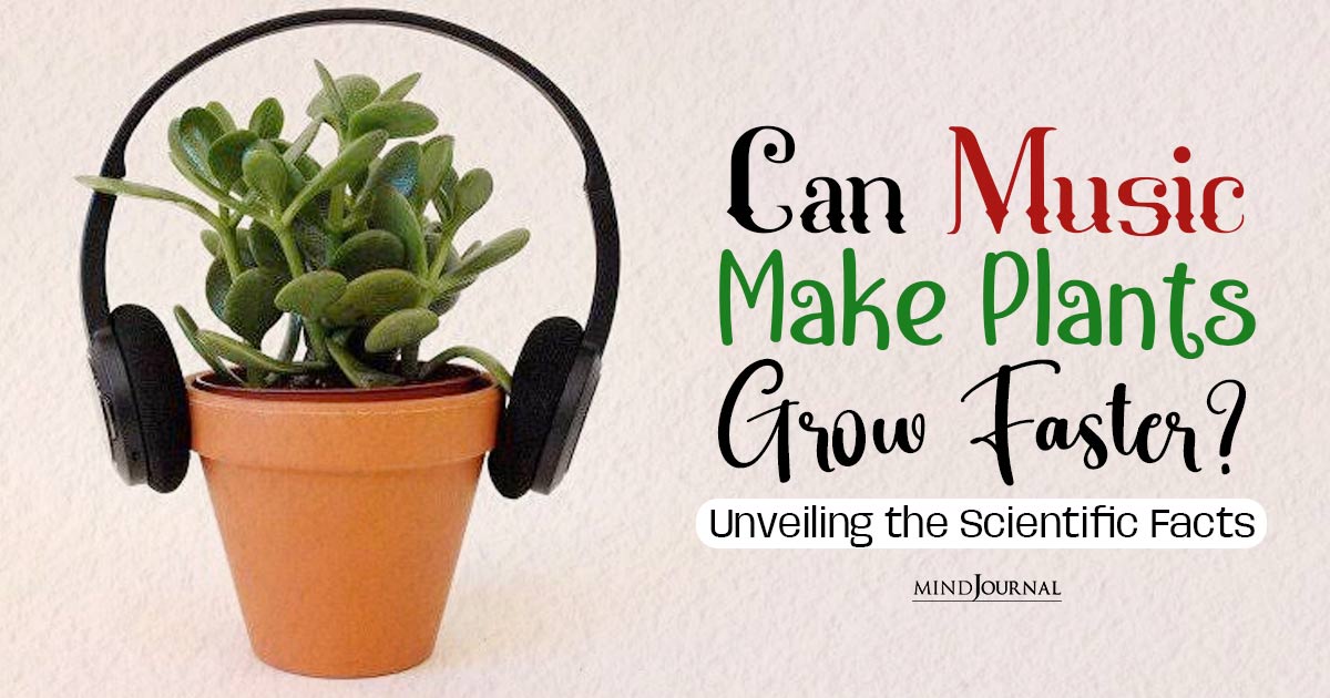 Science Behind the Effect of Music on Plant Growth