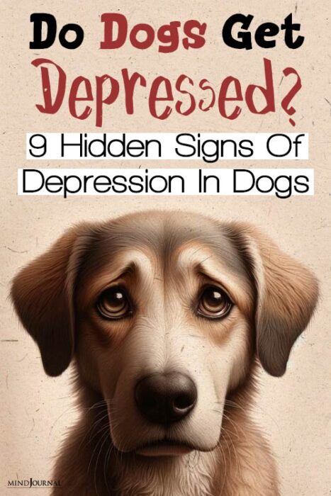 signs of a sad dog