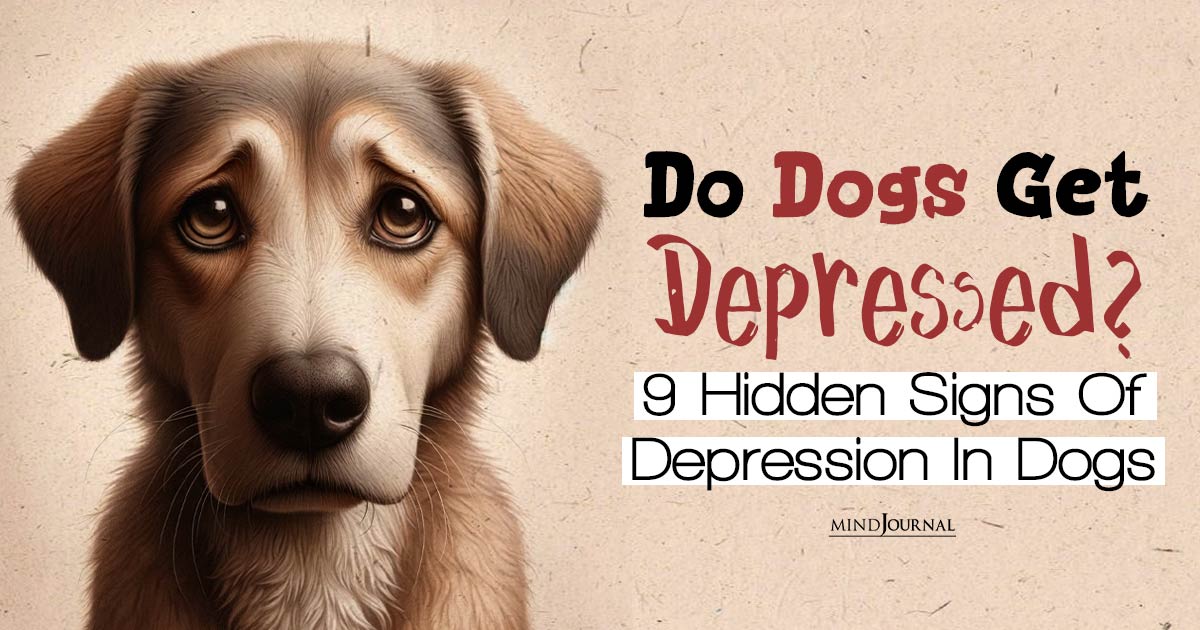 Do Dogs Get Depressed? 9 Hidden Signs Of Canine Depression You Must Know About