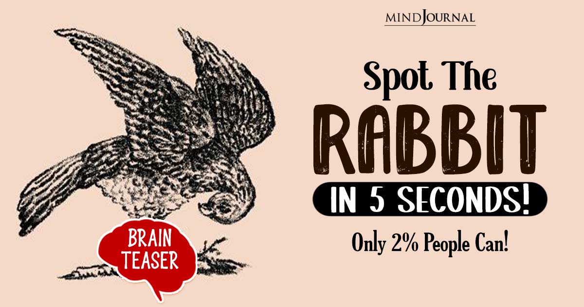 Find the Rabbit Quiz: Only the Top 2% of People with Attentive Minds Can Solve This. Can you?