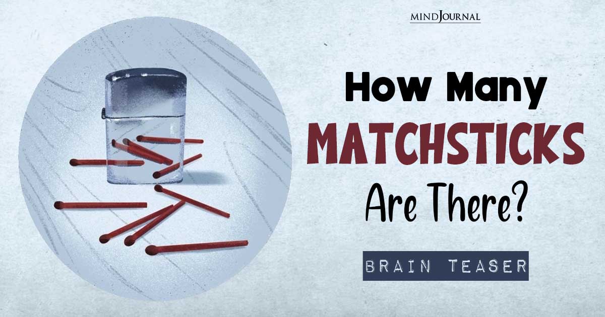 Matchstick Puzzle: Prove Your Genius by Counting The Number Of Matchsticks!