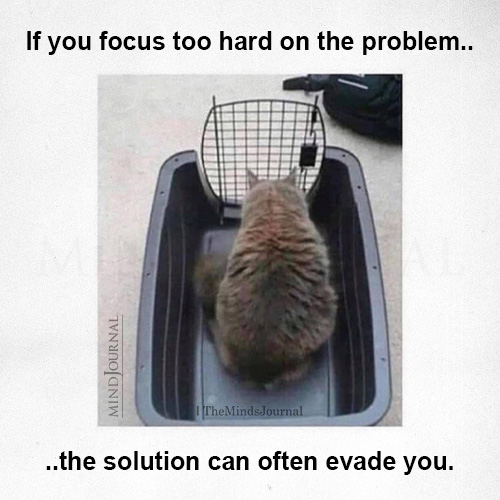 If You Focus Too Hard On The Problem