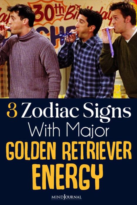 golden retriever energy personality

