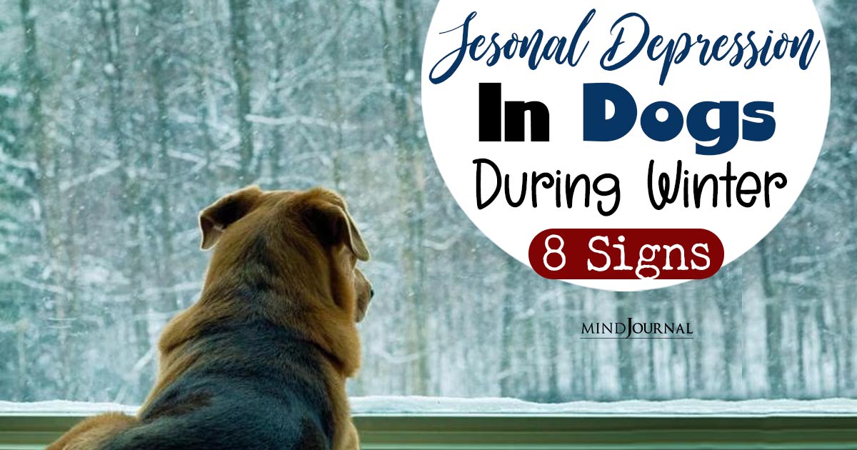 Do Dogs Get Seasonal Depression? 8 Signs Winter Is Making Your Dog Depressed