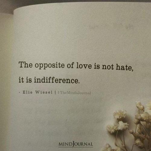 The Opposite Of Love Is Not Hate