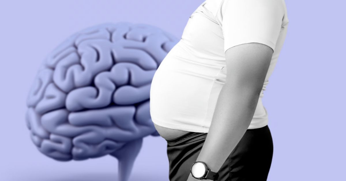Study Reveals Link Between Abdominal Fat and Cognitive Function in High-Risk Alzheimer’s Patients