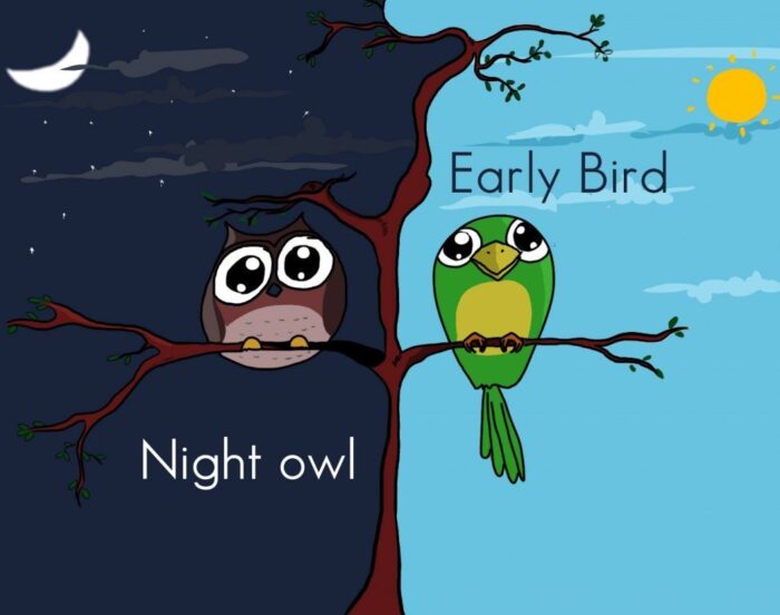 Early Bird Or Night Owl? Learn What Your Sleep Schedule Says About You