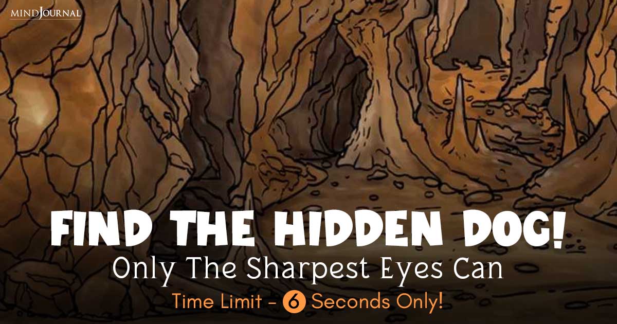 Optical Illusion Puzzle: Can You Spot the Dog Hidden Inside the Cave in Just 6 Seconds?