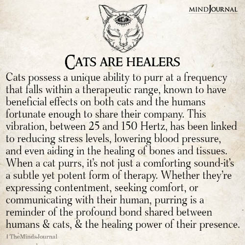 Cats Are Healers