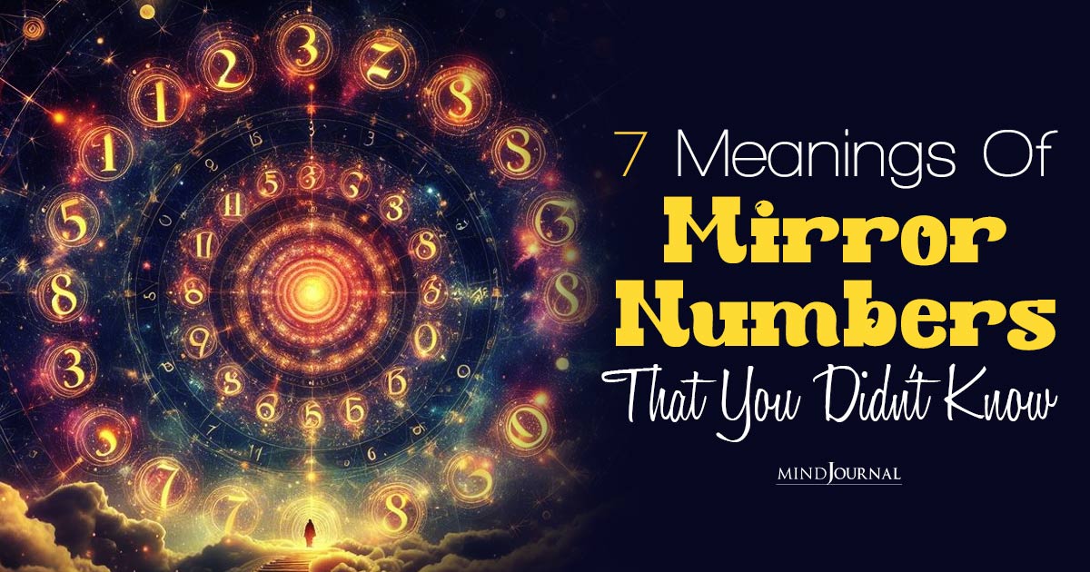 What Are Mirror Numbers And What The Universe Is Trying to Tell You Through Them?