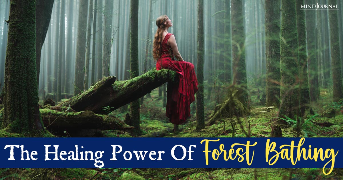 The Healing Power Of Forest Bathing: Finding Serenity In The Woods