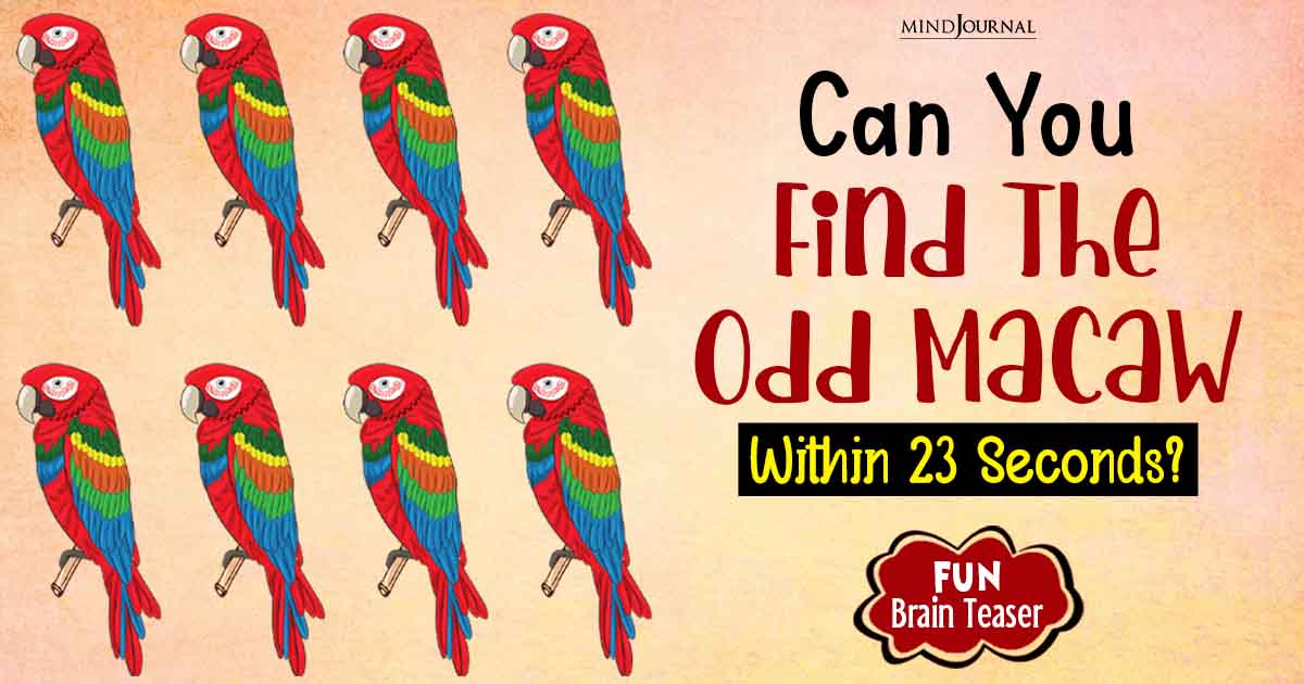 Find The Odd Macaw Within Seconds: Fun Brain Teaser